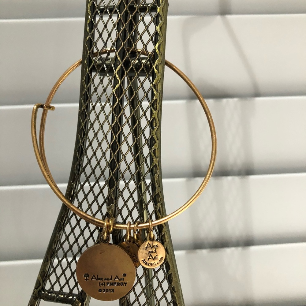 🌸ALEX & ANI - Picture 2 of 2